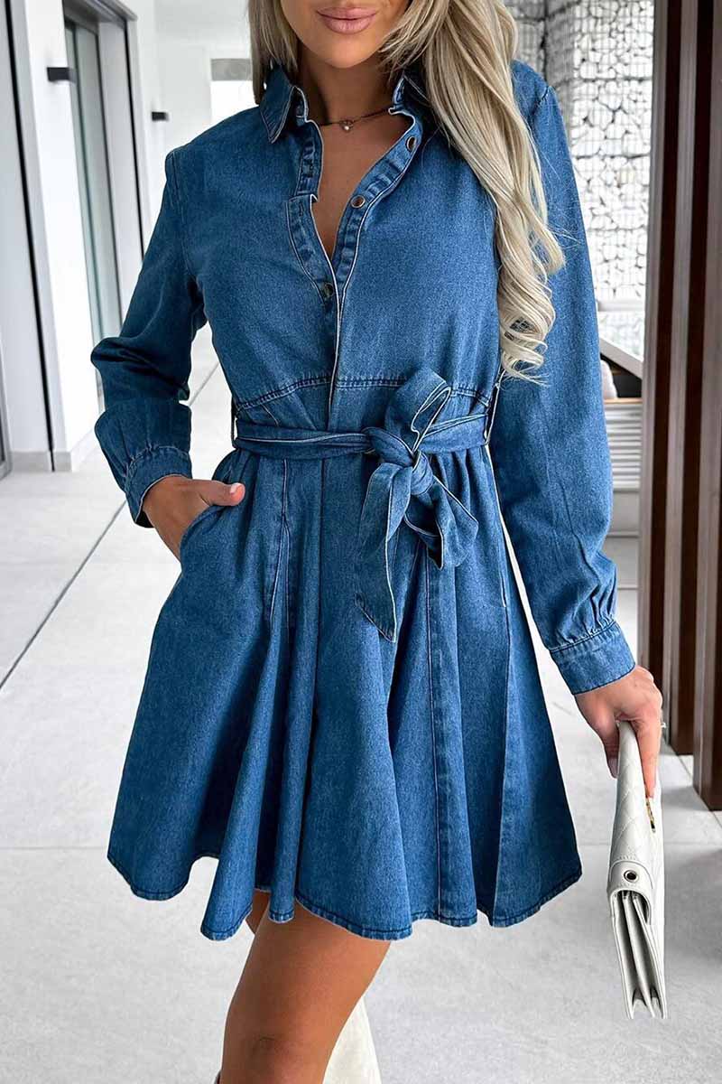 Casual Solid Turndown Collar A Line Dresses