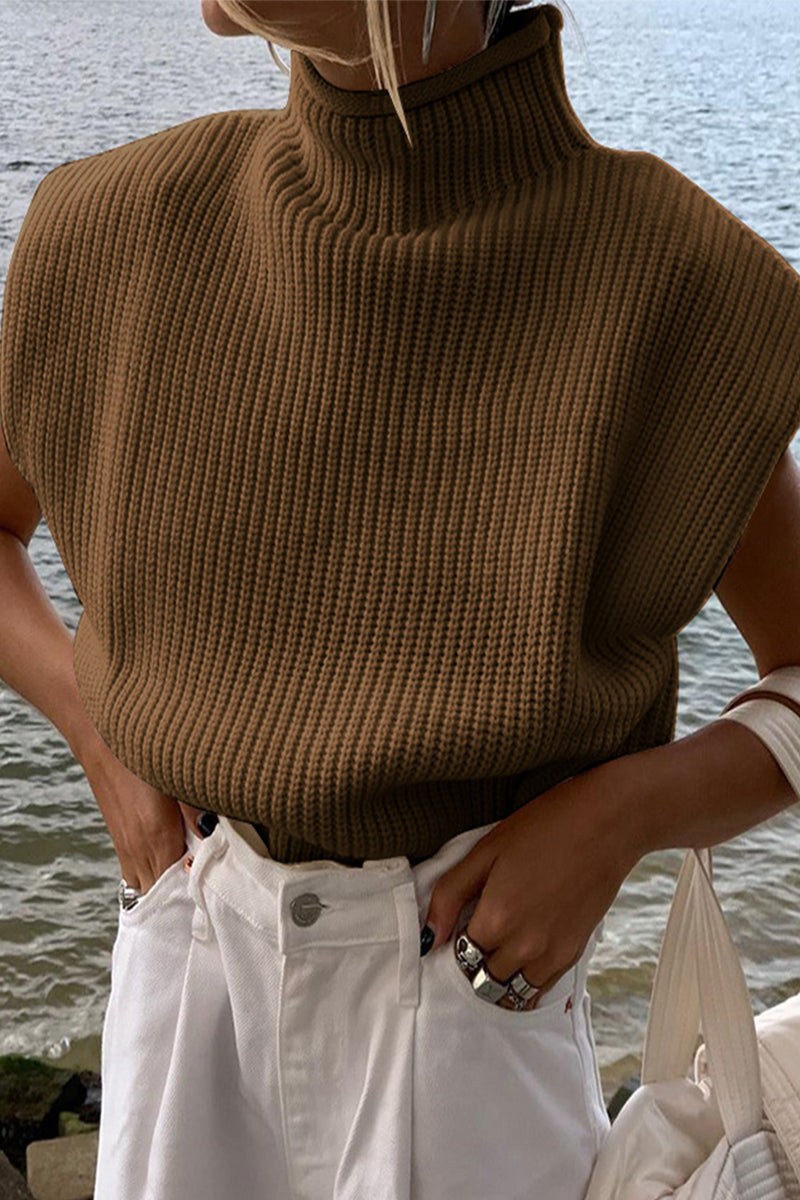 Casual Solid Turtleneck Tops