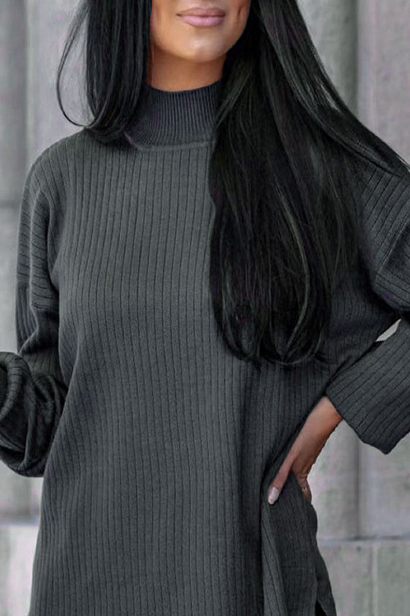 Casual Simplicity Solid Turtleneck Long Sleeve Two Pieces